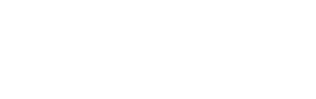 Pans 20th Banner